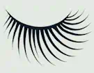 Eyelashes Icon